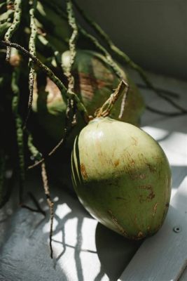  Quest for the Mystical Coconut:  Unveiling an Ancient Tale of Sacrifice and Courage!